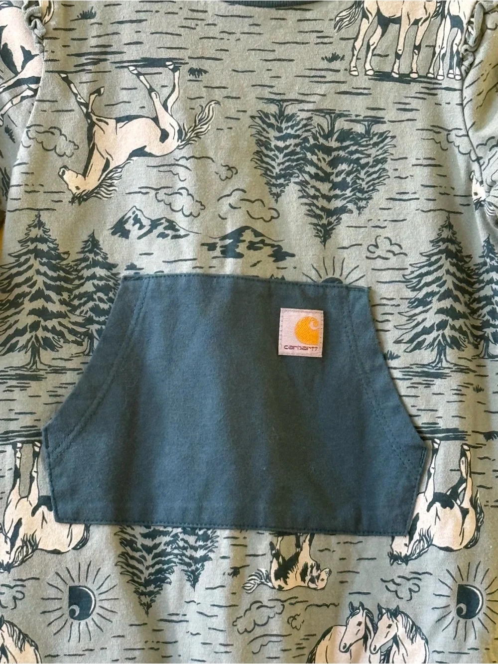 +NWOT Carhartt Horse Mustang Ruffle Coverall Baby Girl Turquoise & Teal 6M